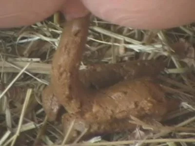 Woman shitting in a barn on a farm (SD) NaturalScatGirls