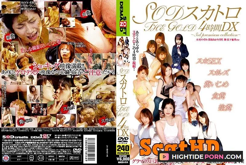 Nozomi Kimura - THE GOLD DX scatology SOD for 4 hours - Scat Movies [DVDRip]