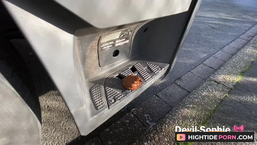 Devil Sophie - OMG - how does the shit get onto the truck running board [UltraHD 4K]