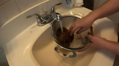 Treasure Hunt (FullHD 1080p) Laylaleescat.com