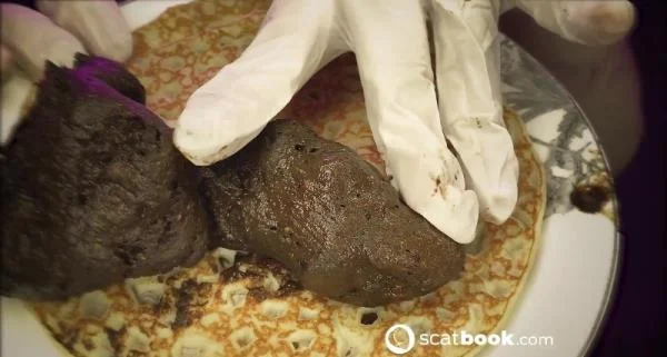 OMFG! These pancakes, taste like me! - Stuhlgang Porno [FullHD 1080p] Scatbook