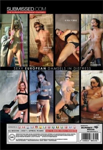 Vibed in Silence - BDSM Porno [SD]