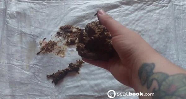 Nutrito dalle mie mani - Stuhlgang Porno [FullHD 1080p] Scatbook