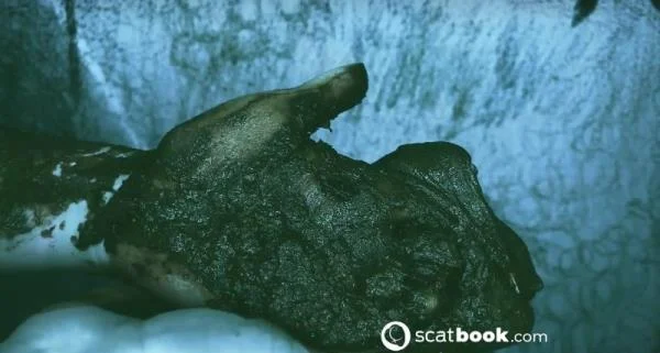 I CAN touch YOU with IT! - Stuhlgang Porno [HD 720p] Scatbook
