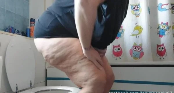 one wc, two asses - Stuhlgang Porno [HD 720p] Scatbook