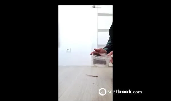 Seven loads for video shooting - Stuhlgang Porno [HD 720p] Scatbook
