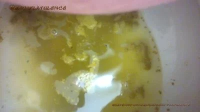 Diarrhea In The Toilet (FullHD 1080p) Scatshop