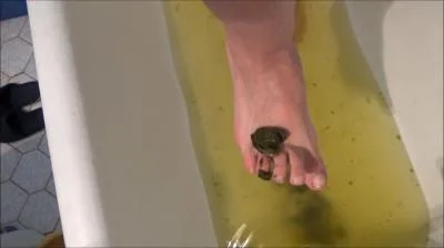 Poop And Enema (SD) Scatshop.com