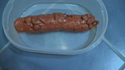 A Shit For a Fan (HD 720p) Filthygrid.com