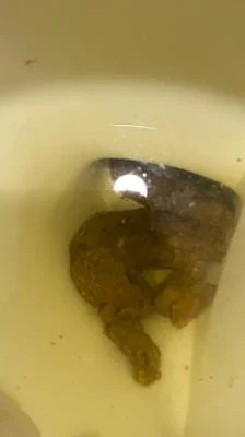 Shitting On The Bathroom Floor At Work (SD) Scatshop.com