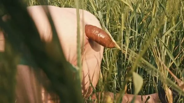 Doggystyle Shit In a Field (HD 720p) Filthygrid.com