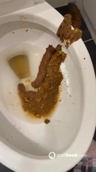 Bossys Bathroom Blunder A Splattered Catastrophe (SD) Scatbook