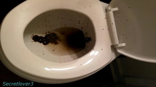 Toilet Spray (FullHD 1080p) Scatshop
