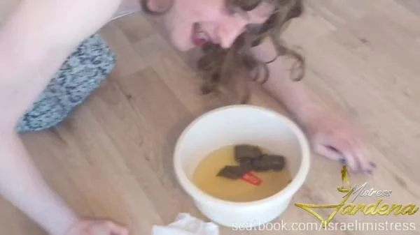 Sissy coerced scat (HD 720p) Scatbook.com
