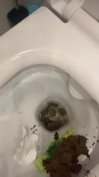 Daily portion of shit for my bitches (SD) Scatbook.com