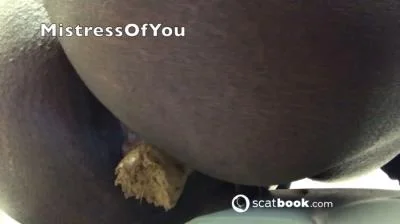 Shit For BDSM And Fetish Lovers 65 (HD 720p) Scatbook