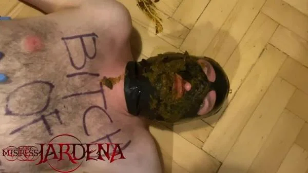 Masacrated bitch on first toilet session (HD 720p) Scatbook.com