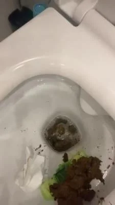 Daily portion of shit for my bitches (SD) Scatbook.com