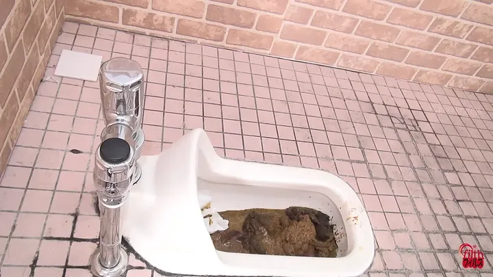 Japanese Scat: JADE Clogs Toilets with Stinky Poops - Fetish Porn Video on HighTide